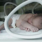 En Castilla y León se produjeron 20.599 nacimientos o adopciones
