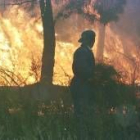 El caso por el incendio de El Teleno en septiembre de 1998 podría estar llegando a su fin