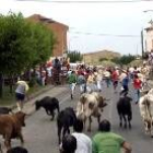 Uno de los encierros de novillos del año pasado