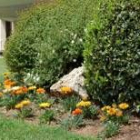 Las nuevas plantas ya han comenzado a plantarse en los jardines