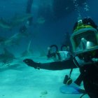 Jesús Calleja nadará esta noche entre tiburones en las Bahamas.