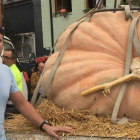 Uno de los ejemplares de calabaza de 608 kilos que se expuso el sábado en Igüeña. CEBRONES