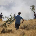 Vecinos de Quintanilla del Monte tratan de frenar el fuego que cercó el pueblo.