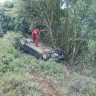 El golpe sacó al corzo, que quedó reventado, de la vía y el coche dio al menos una vuelta de campana