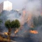 En Portugal las llamas se acercan dramáticamente a los núcleos urbanos