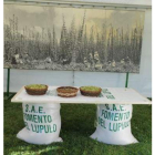 Exposición sobre lúpulo en Villanueva de Carrizo.