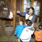 Los niños de la localidad, asombrados con los burros del belén