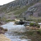 Río Ancares muy cerca de la ubicación de su nacimiento como tal.