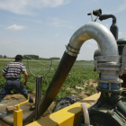 Campos cultivados en Villalís, en la zona de la Valduerna