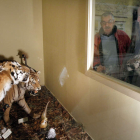 Una de las estancias con animales que se pueden seguir en la exposición de miradas al mundo de los animales.