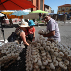 Tren y lúpulo. Ajo y artesanía. Río, campos y ribera. Pocos como Veguellina saben diversificar tan acertadamente sus recursos, por eso y por muchas otras razones, no visitar la localidad este lunes o el resto de la próxima semana, cuando se celebran sus f