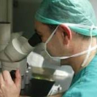 Un médico examina a través del microscopio en un laboratorio de reproducción asistida