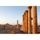 La ciudad histórica de Palmira, en el centro de Siria. YOUSSEF BADAWI