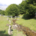 La caza está prohibida en Picos de Europa.