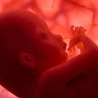 Reproducción de un feto humano, del documental 'En el vientre materno', de National Geographic Channel.