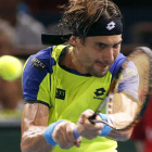 Ferrer no dio opción a Nadal en la semifinal de París-Bercy.