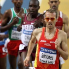 Sergio Sánchez en los 3.000 metros del Mundial de Doha.