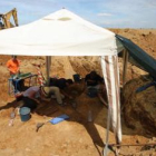 Trabajos de exhumación en una fosa en Albires.