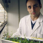 Miguel Valbuena con las plantas que investiga y que irán a la ISS desde Cabo Cañaveral en julio. Alumno del colegio Virgen Blanca-La Filial, es la primera promoción de Biotecnología de la Universidad de León.