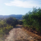 Estado del camino de Villar de los Barrios a San Lorenzo. DL
