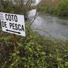 La temporada de pesca en León comenzará el 26 de marzo. RAMIRO