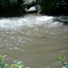 Justo en esta zona se localizan los vertidos que convierten el río en un cauce negro y maloliente