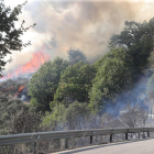 El incendio se propagó de forma accidental desde la carretera LE-5107 en Trabadelo. ANA F. BARREDO