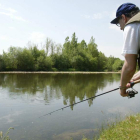 Un pescador participante en una de las ediciones de la Semana Internacional de la Trucha.