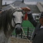 Los caballos son este fin de semana protagonistas en Camponaraya