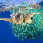 Una tortuga nada enredada en una red de pesca en las aguas de Tenerife, en una imagen ganadora del primer premio individual del World Press Photo 2017 en la categoría de Naturaleza.