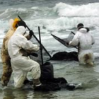 Un grupo de voluntarios limpia pequeñas manchas de fuel en playa Major (Sanjenjo)