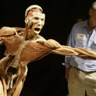 La exposición ‘Body Worlds’ muestra tejidos humanos inyectados con plástico para su preservación. ARMANDO ARORIZO