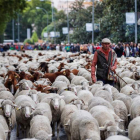 Fiesta trashumante por las calles de Madrid. BENITO ORDÓÑEZ