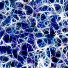 El equipo investigó once tipos de neuronas diferentes. pixabay
