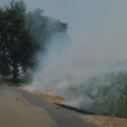 Una quema de rastrojos ayer, en una zona del sur de León.