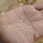 Un diamante extraído en Borneo, donde centenares de mineros conservan métodos artesanales de trabajo