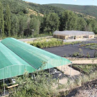 Instalaciones del vivero de la Ciuden, situadas en Pobladura de las Regueras, donde trabajan 150 trabajadores.