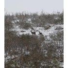 Imagen de la reserva de Picos. NORBERTO