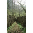 El chorco, una trampa que se empleaba para cazar lobos, cerca de Caín