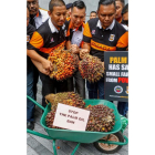 Manifestación contra la prohibición del aceite de palma. AJMAD YUSNI