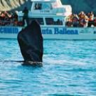 Turistas avistando ballenas en la Península de Valdés en la Patagonia argentina