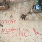 Tres de los perros que aparecieron muertos el jueves, junto a la pintada. DL