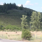 Zona para la que está proyectada la plantacción de 300.000 almendros. L. DE LA MATA
