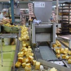 Mujeres trabajando en una fábrica de hojaldres y mantecadas de Astorga.