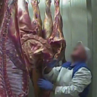 Polonia exportó toneladas de carne contaminada a otros países europeos.