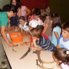 Un momento de los talleres de huellas y rastros organizado en Polvoredo.