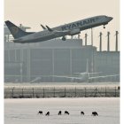 Un avión de Ryanair, durante un despegue.