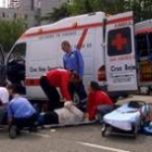 El mayor número de atropellos se produce porque los conductores no respetan las señales de tráfico