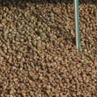 La recepción en la azucarera de La Bañeza comenzará el día 12