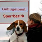 Carolin Bruhn junto a su beagle Caja lee una señal en  Alemania